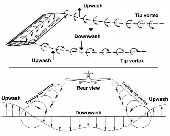 Regions of upwash and downwash created by trailing vortices