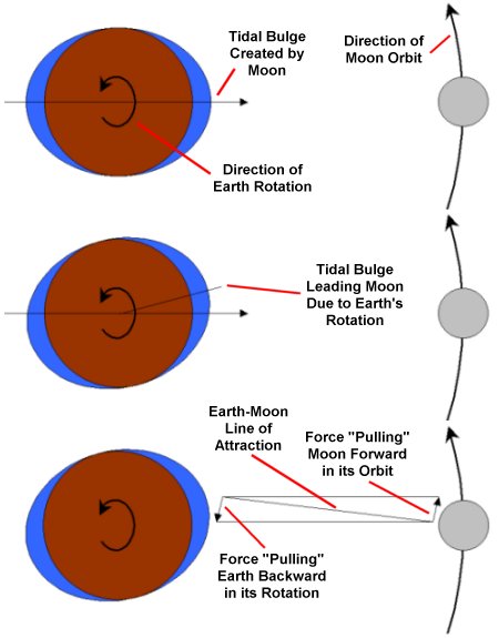 Motion of tidal bulges created by the Moon
