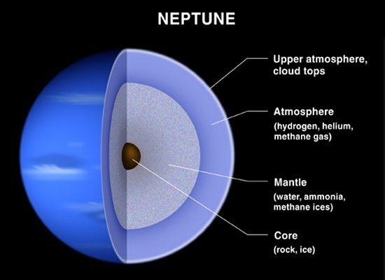 Theoretical structure of the gas giants exemplified by Neptune