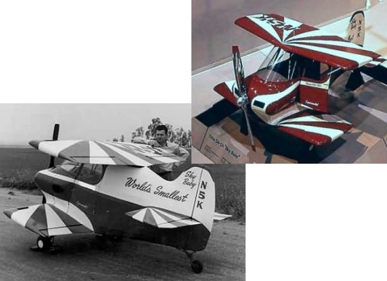Smallest aircraft worlds manned CriCri is