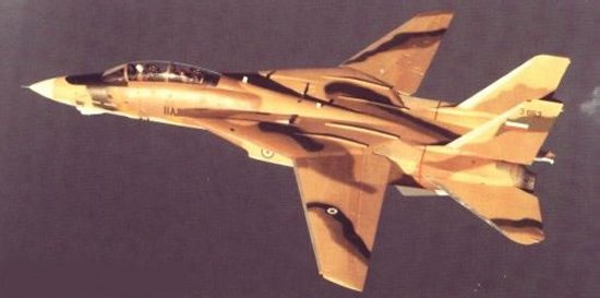 F-14 of the Imperial Iranian Air Force