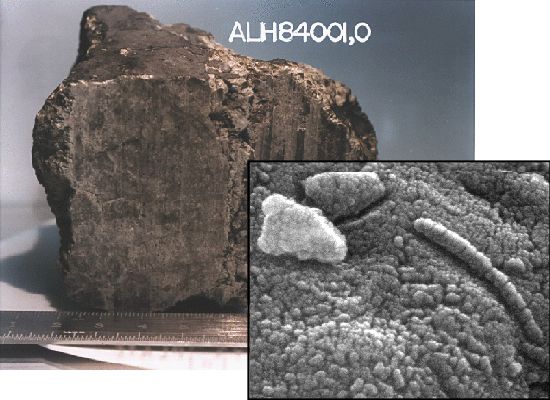 ALH 84001 meteorite containing evidence of fossilized life
