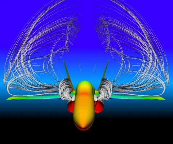 CFD visualization of vortices created by leading edge extensions on the F-18
